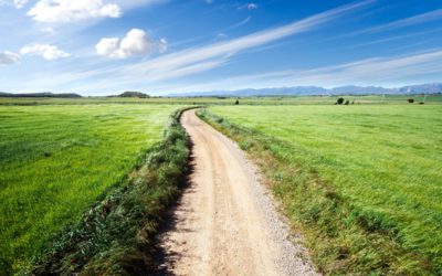 Chemins et sentiers : droits et obligations