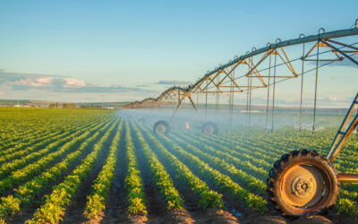 Vente de biens agricoles loués et non loués : la question du droit de préemption du fermier